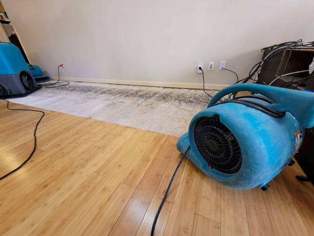 Professional Water Removal technician working in Weston, FL